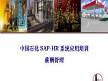 中国石化SAP-HR系统功能培训(薪酬、人工成本培训)图片1