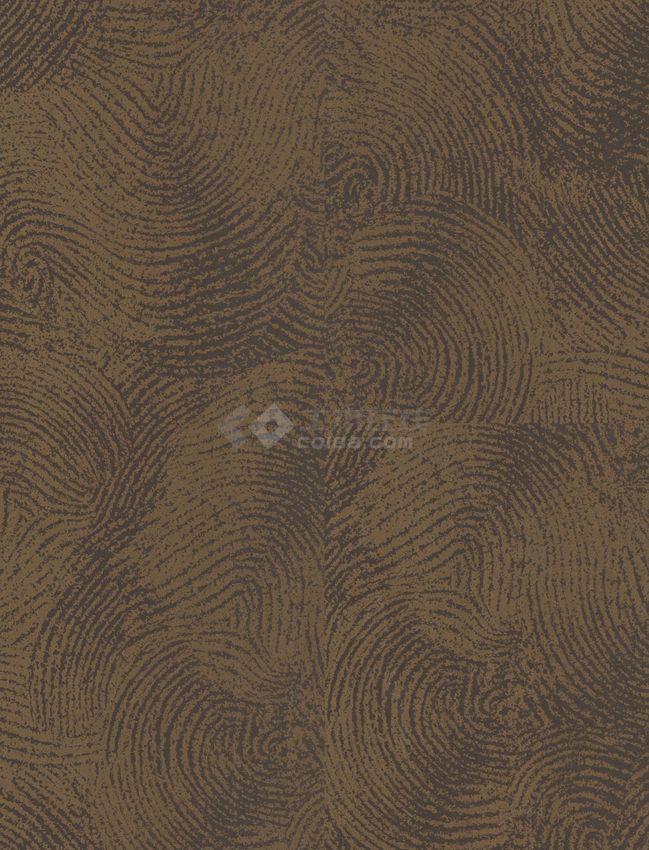 木地板的素材 (603).jpg-图一