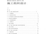 长江堤防隐蔽工程施工组织设计方案.pdf图片1