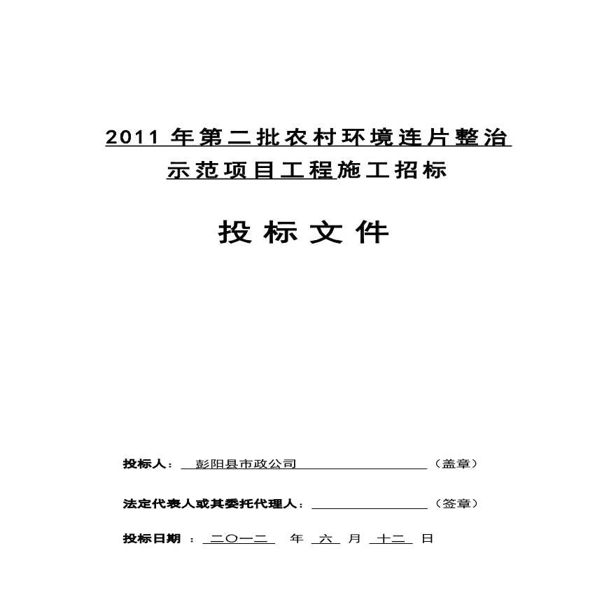 2011年环保市政公司投标文件.pdf-图一