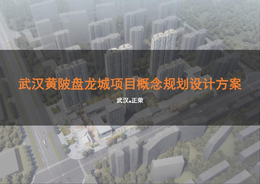 正荣 武汉黄陂盘龙城项目规划设计投标方案 .pdf-图一