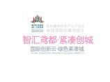 潍坊高新技术产业开发区全域国际化城市设计 [雷奥].pdf图片1