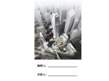 深圳冠泽金融中心2栋A座（地上部分）钢结构安装安全专项施工方案--专家论证方案图片1