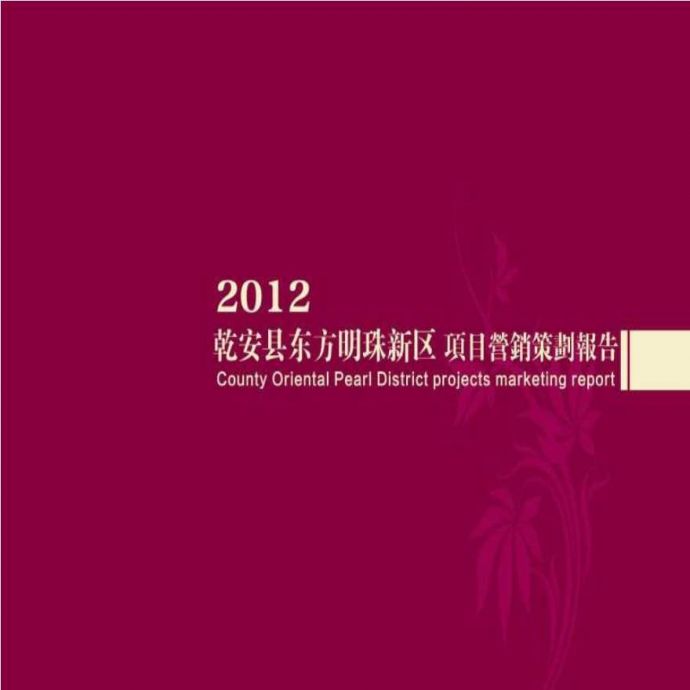 2012年松原市乾安县东方明珠新区项目营销策划报告.ppt_图1