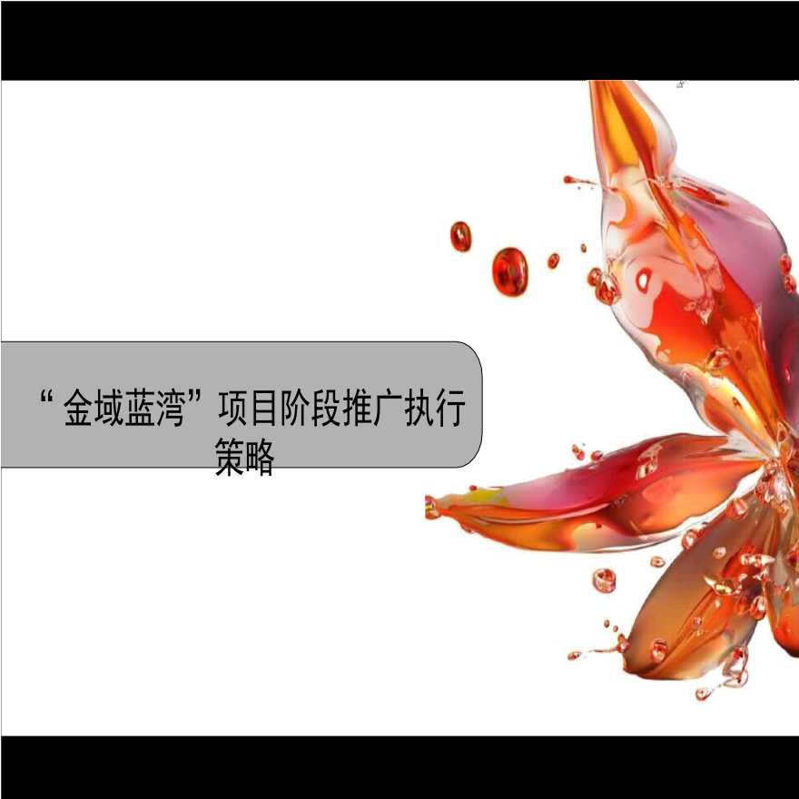 金域蓝湾第一阶段推广执行策略.ppt-图一