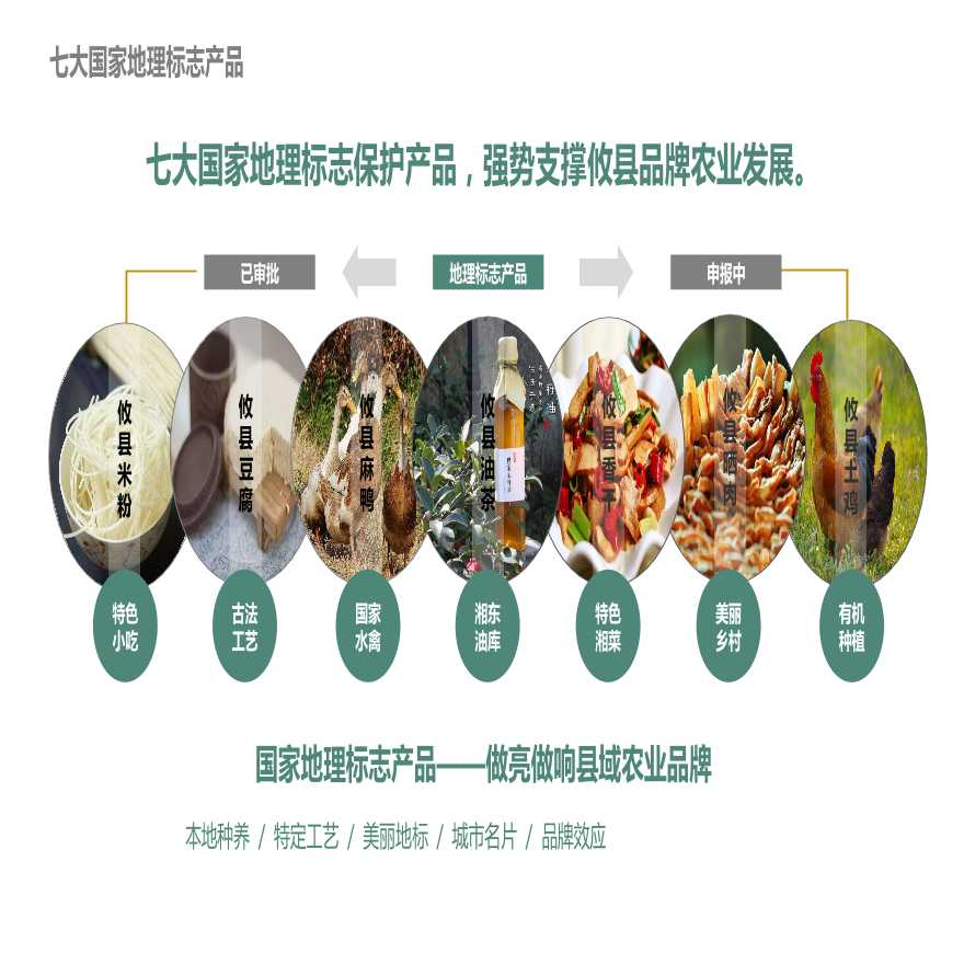 湖南攸县乐达山茶油·田园综合体概念规划[P]-图二