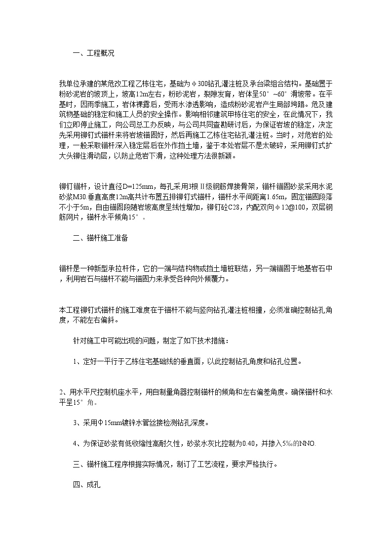 某工程铆钉式锚杆的施工技术方案.doc-图一