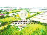 2020 寒儒桥乡村振兴一带一路与空间规划-209页图片1