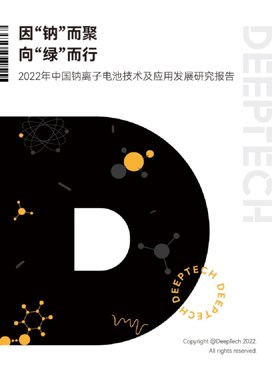 2022年中国钠离子电池技术及应用发展研究报告-DeepTech.pdf-图一