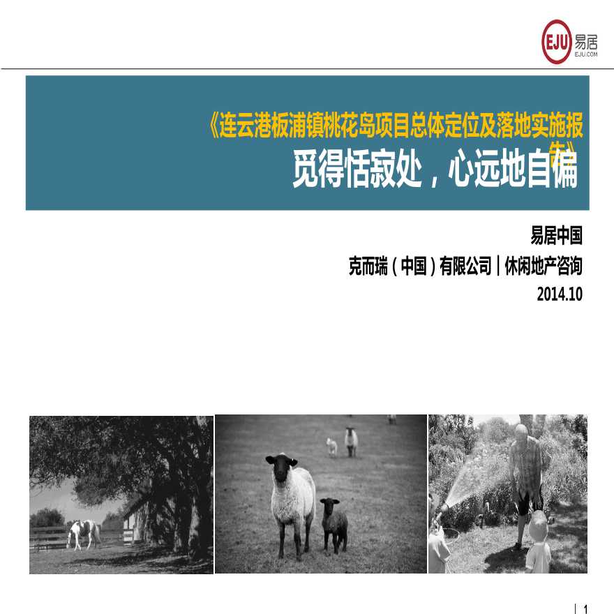 连云港城投板浦镇桃花岛项目总体定位及落地实施报告 设计院方案.pptx-图一