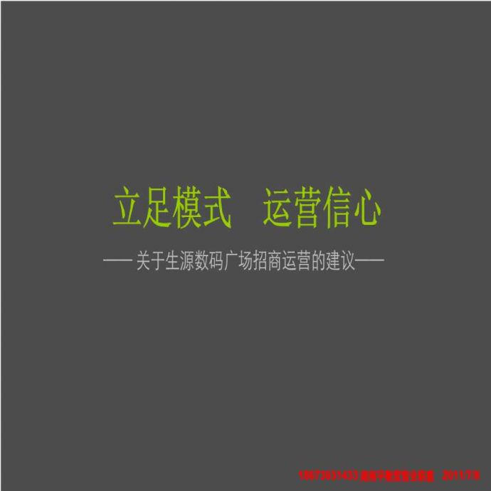 湖南郴州生源数码广场商业项目招商运营的建议_54p_2011年_前期策划.ppt_图1