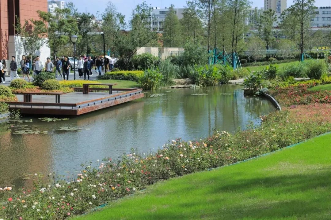 上海“千园工程”让公园与城市无界共生