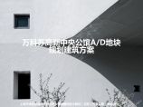 天华&CCDI联合设计：合肥万科中小学（苏高新中央公馆AD地块）规划建筑方案文本（PDF文本）.pdf图片1